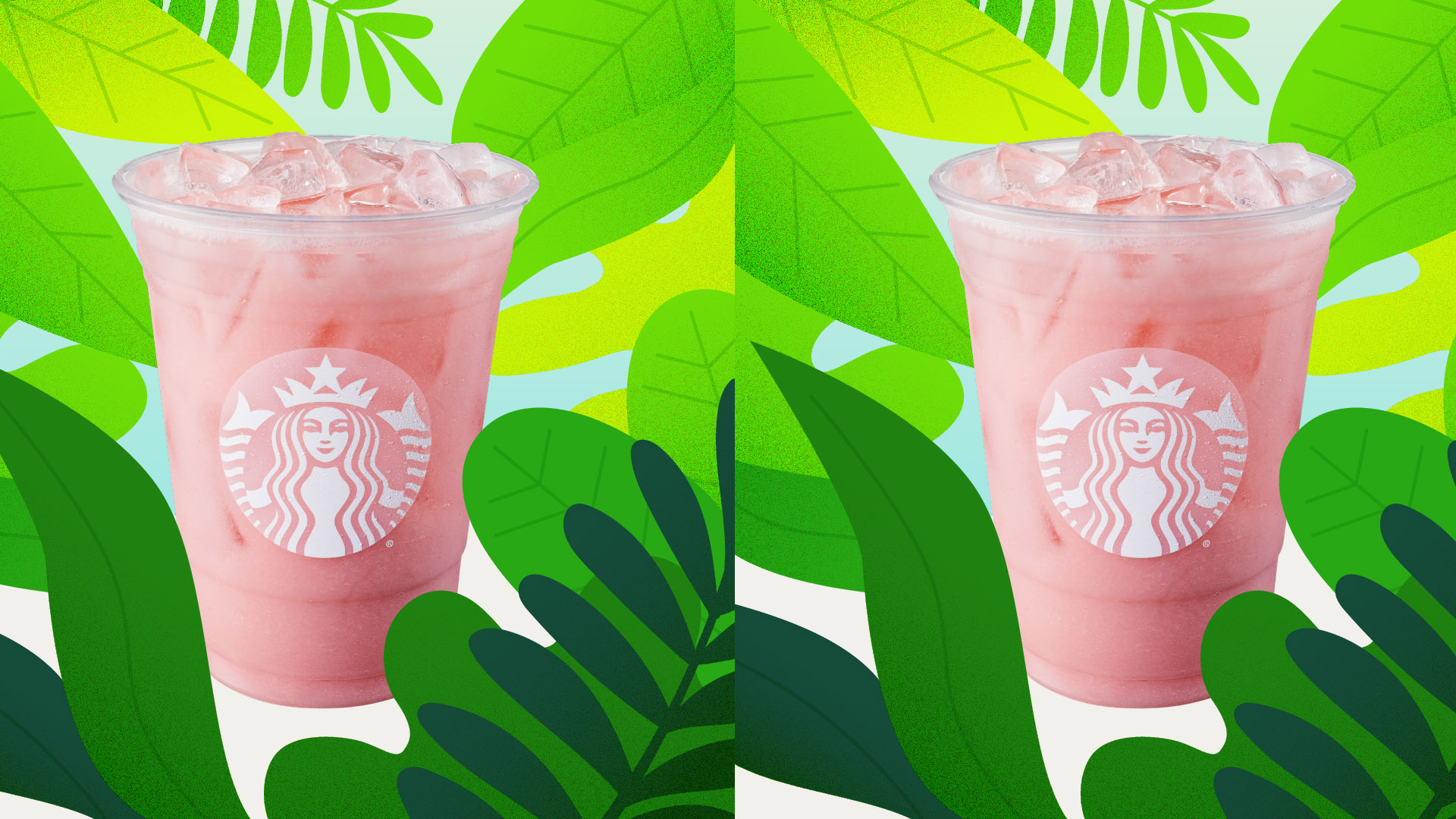 Detail What Guava Juice Does Starbucks Use Nomer 52