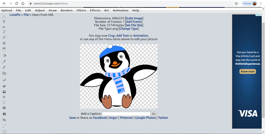 Detail What Is A Png Nomer 12