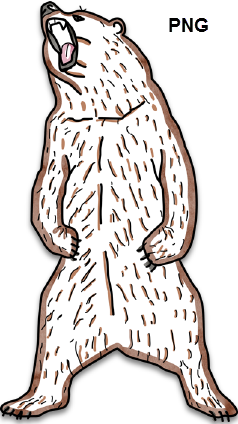 Detail What Is A Png Nomer 16