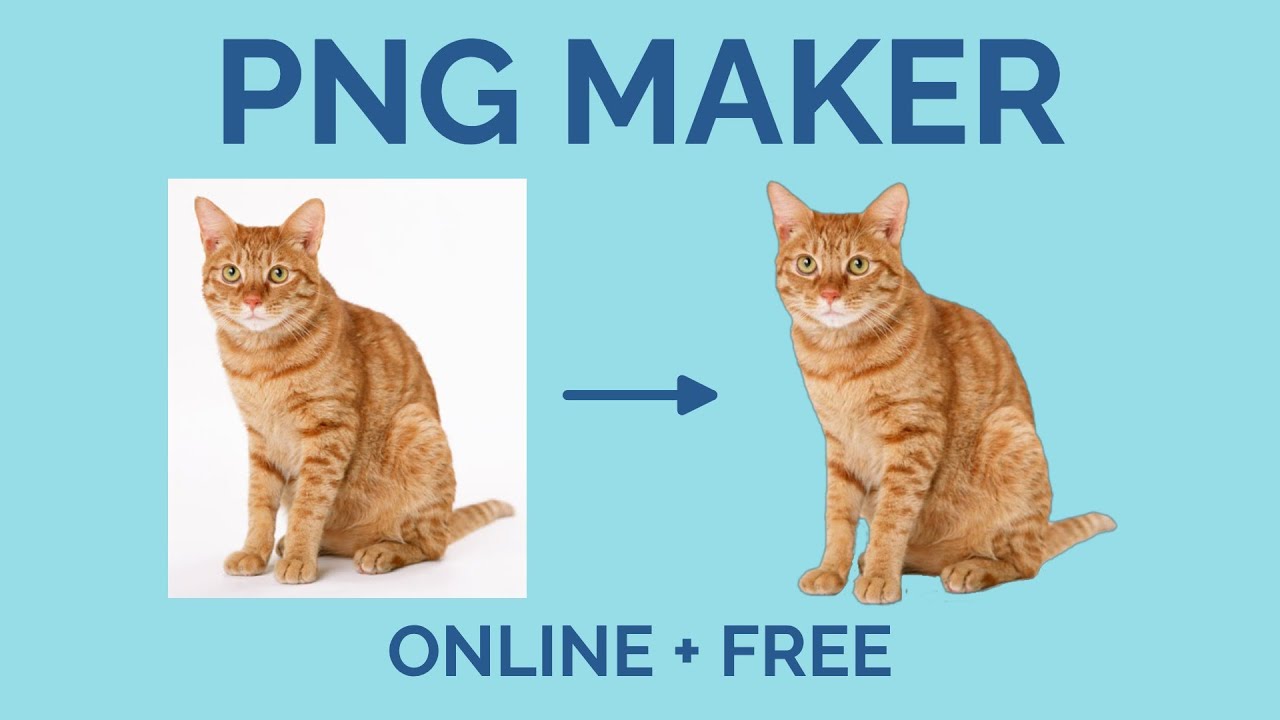 Detail What Is A Png Nomer 19