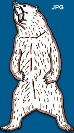 Detail What Is A Png Nomer 33
