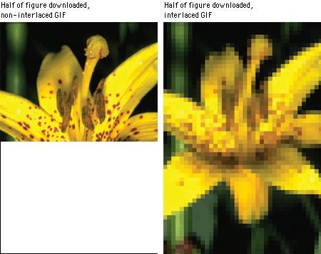 Detail What Is Interlaced Png Nomer 4