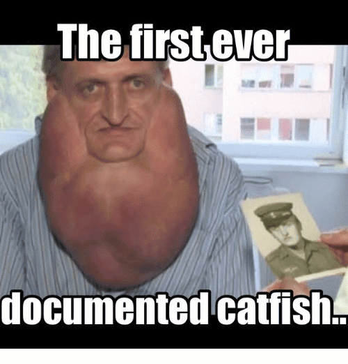 Detail What Is The First Meme Nomer 44