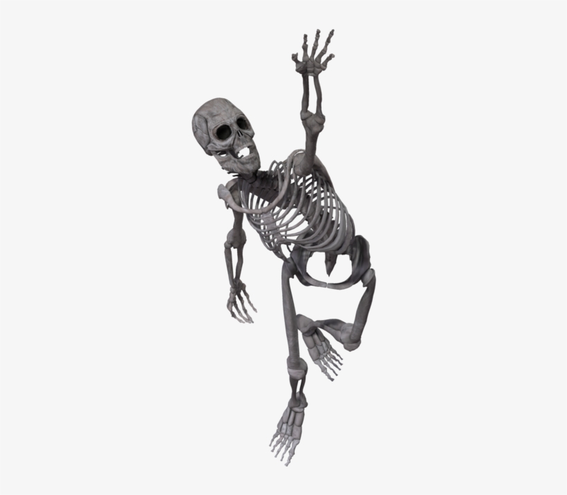 Detail Skeleton Png Nomer 54