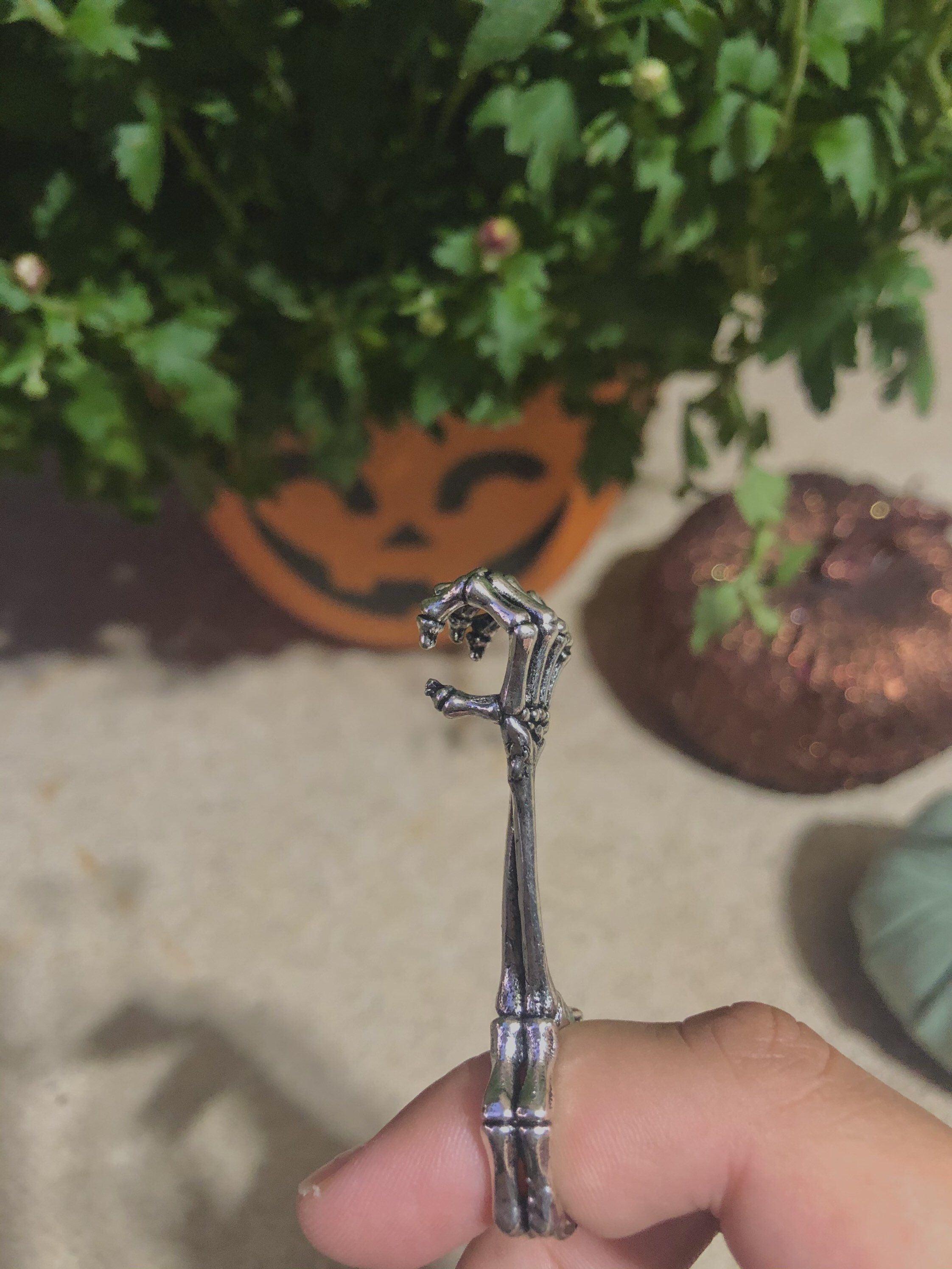 Detail Skeleton Roach Clip Nomer 3