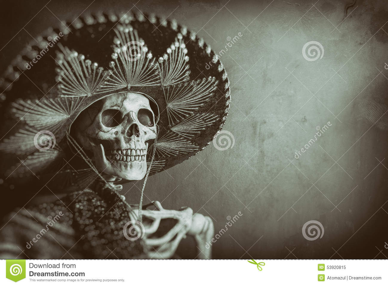 Detail Skeleton Sombrero Nomer 22