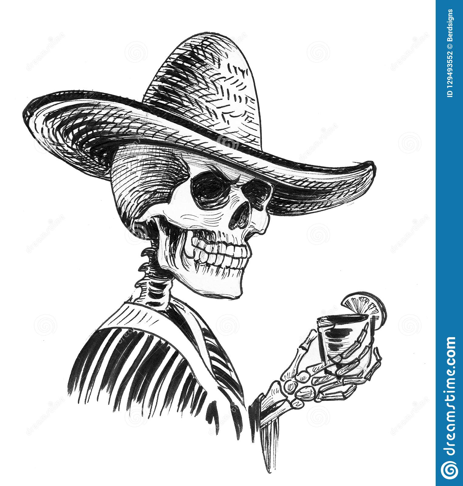 Detail Skeleton Sombrero Nomer 39