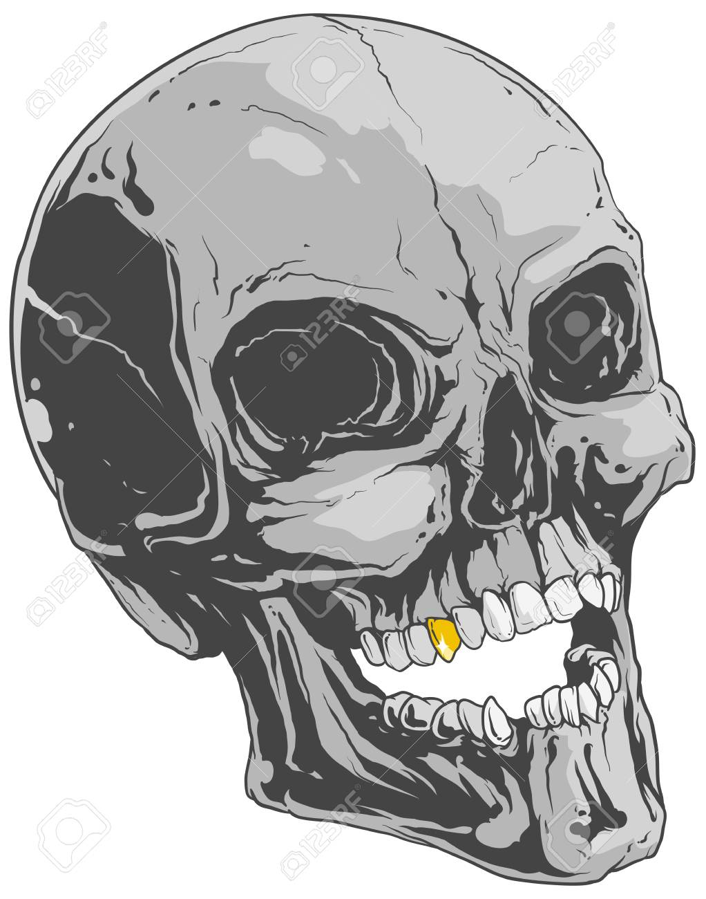 Detail Skeleton Teeth Clipart Nomer 22