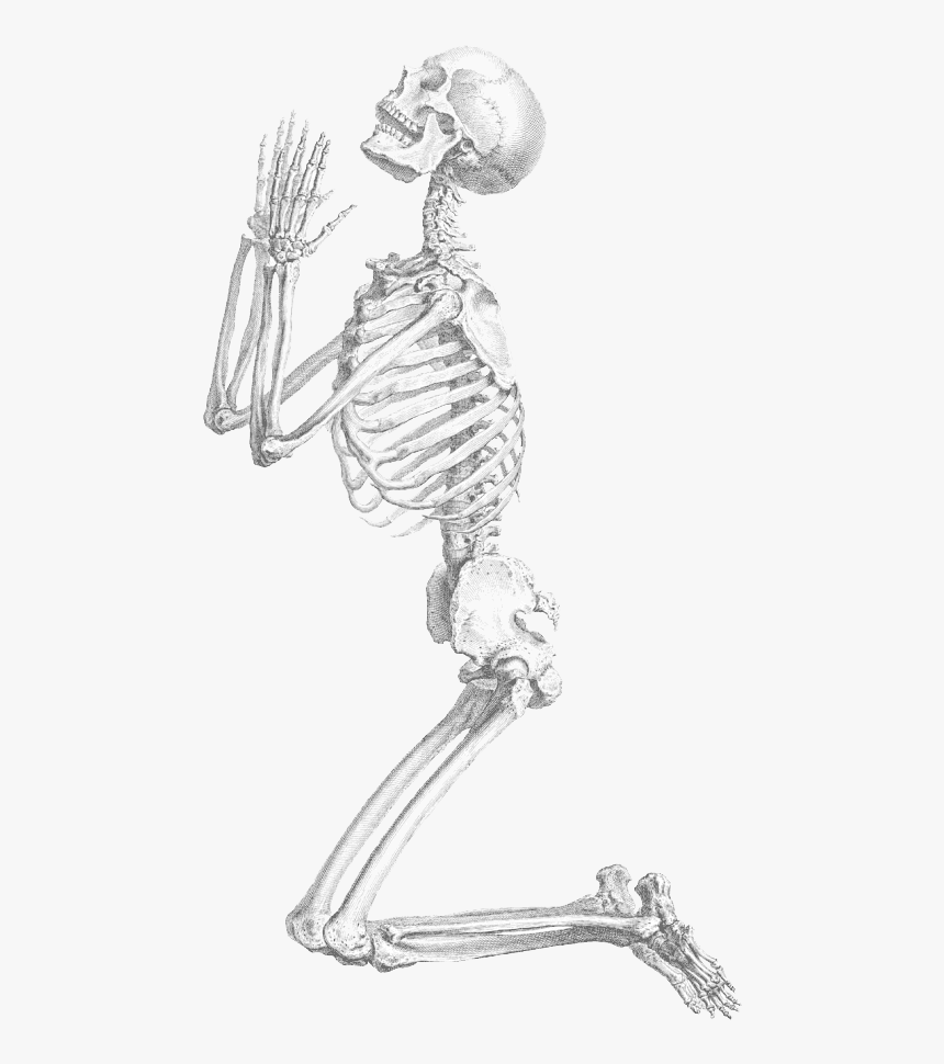 Detail Skeleton Transparent Nomer 4