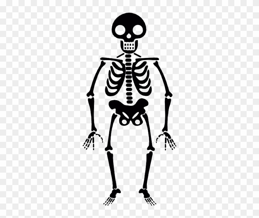 Detail Skeleton Transparent Nomer 28