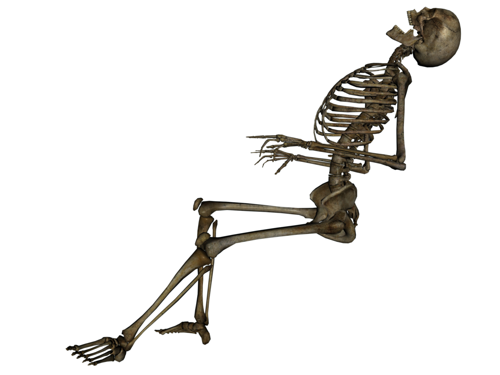 Detail Skeleton Transparent Nomer 30