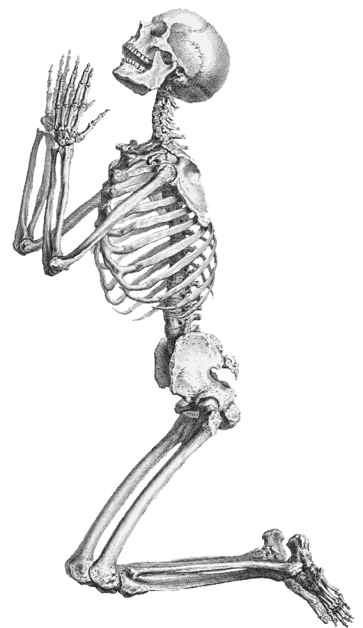 Detail Skeleton Transparent Background Nomer 19