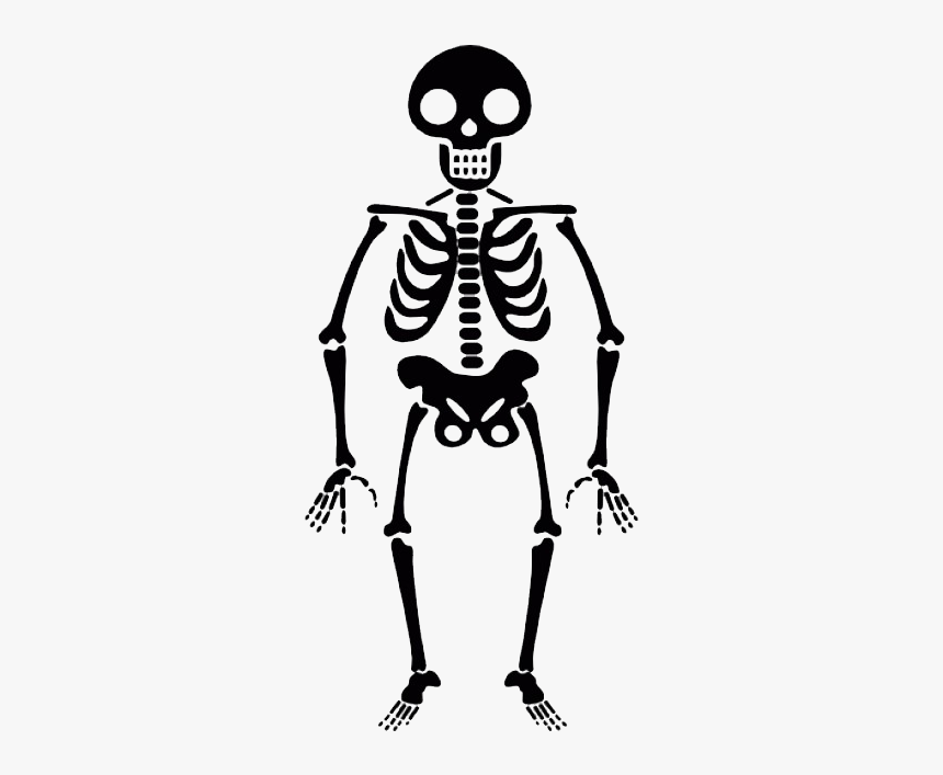 Detail Skeleton Transparent Background Nomer 20