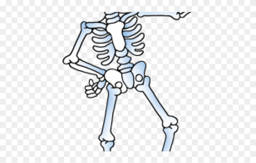 Detail Skeleton Transparent Background Nomer 28