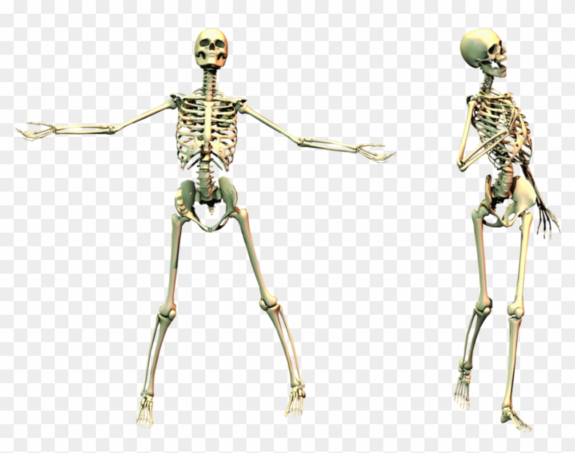 Detail Skeleton Transparent Background Nomer 40