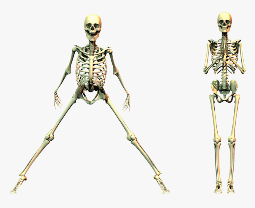 Detail Skeleton Transparent Background Nomer 45