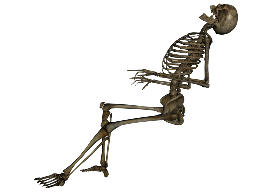 Detail Skeleton Transparent Png Nomer 23