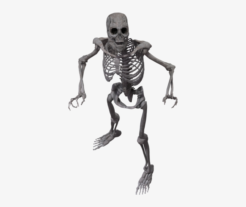 Detail Skeleton Transparent Png Nomer 30