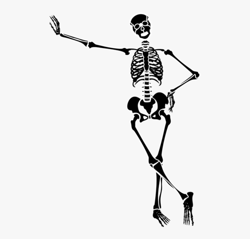 Download Skeleton Transparent Png Nomer 53