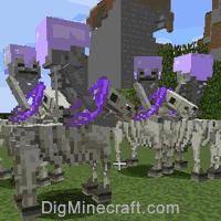 Detail Skeleton Trap Horse Minecraft Nomer 2