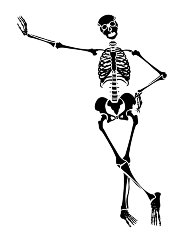 Detail Skeletons Download Nomer 40