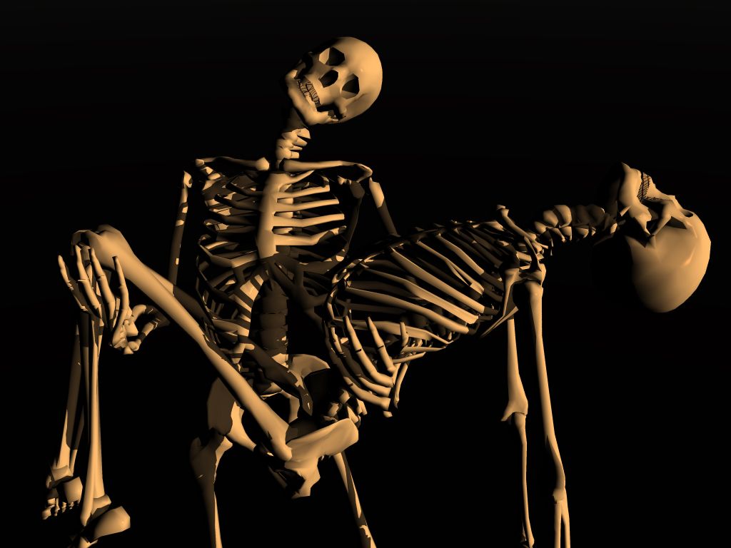 Detail Skeletons Download Nomer 55