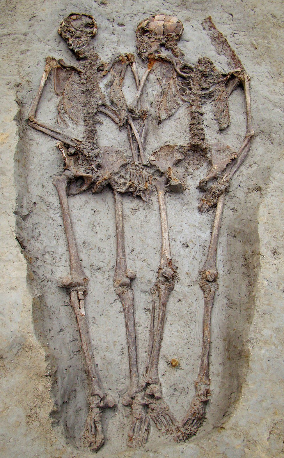 Detail Skeletons Images Nomer 19