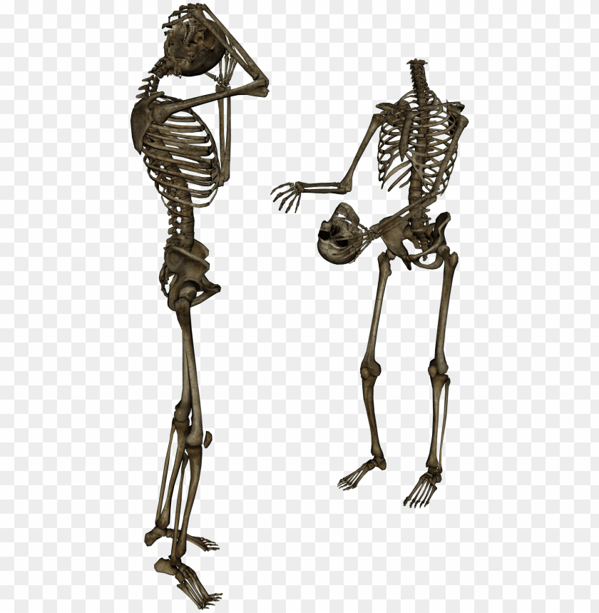 Detail Skeletons Png Nomer 25