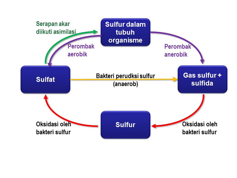 Detail Skema Efek Rumah Kaca Nomer 43