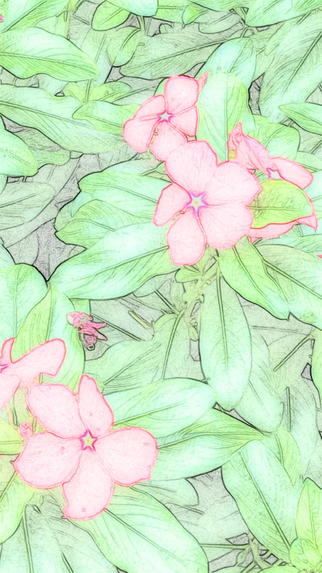 Detail Sket Gambar Bunga Walpaper Nomer 26