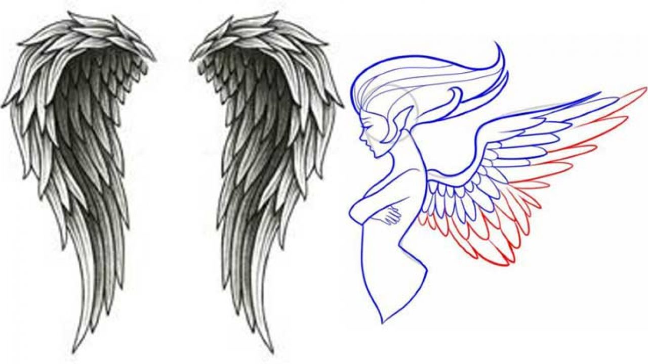 Detail Sketch How To Draw Angel Wings Nomer 12