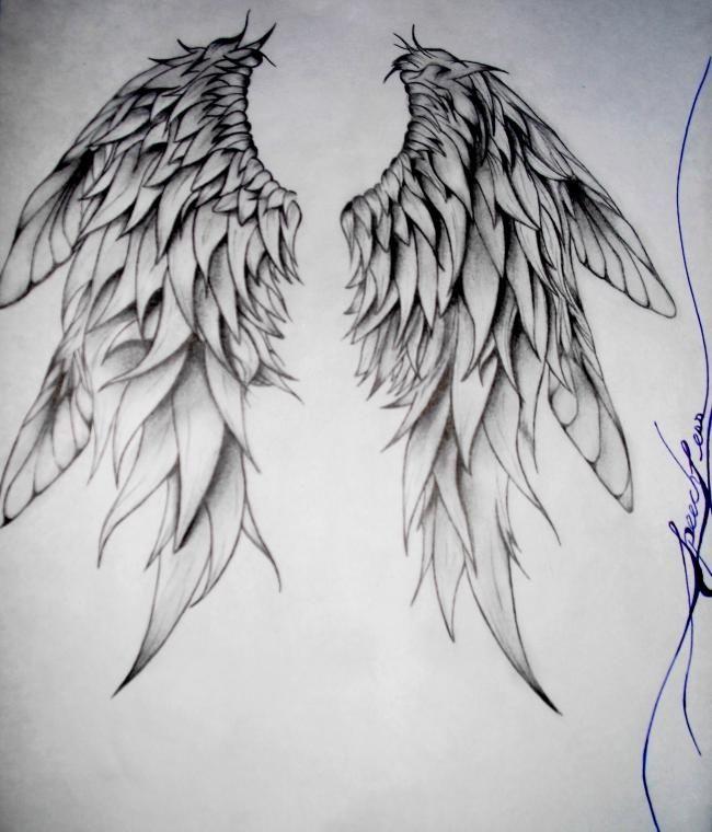 Detail Sketch How To Draw Angel Wings Nomer 15