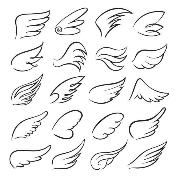Detail Sketch How To Draw Angel Wings Nomer 25