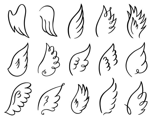 Detail Sketch How To Draw Angel Wings Nomer 8