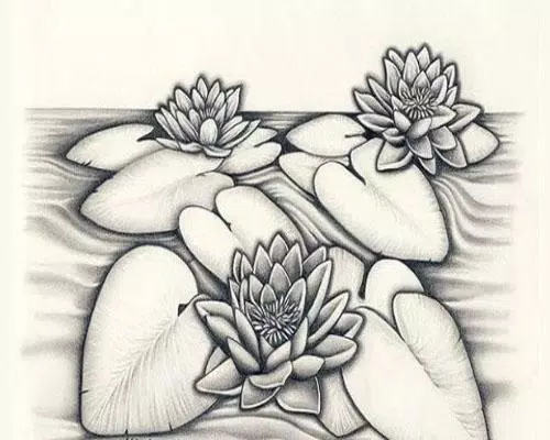 Detail Sketsa 3 Dimensi Nomer 38