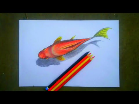 Detail Sketsa 3d Ikan Cupang Nomer 27