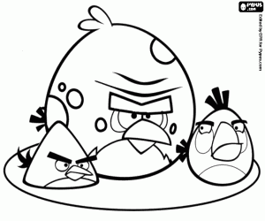 Detail Sketsa Angry Bird Nomer 20