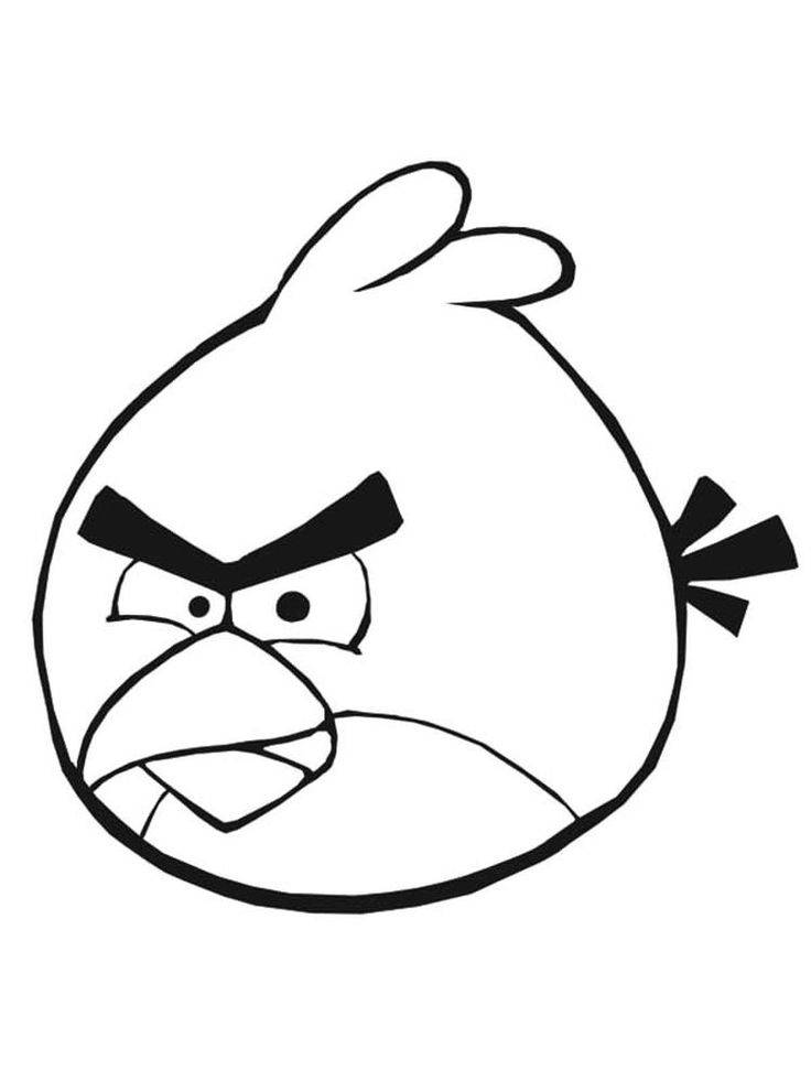 Detail Sketsa Angry Bird Nomer 9