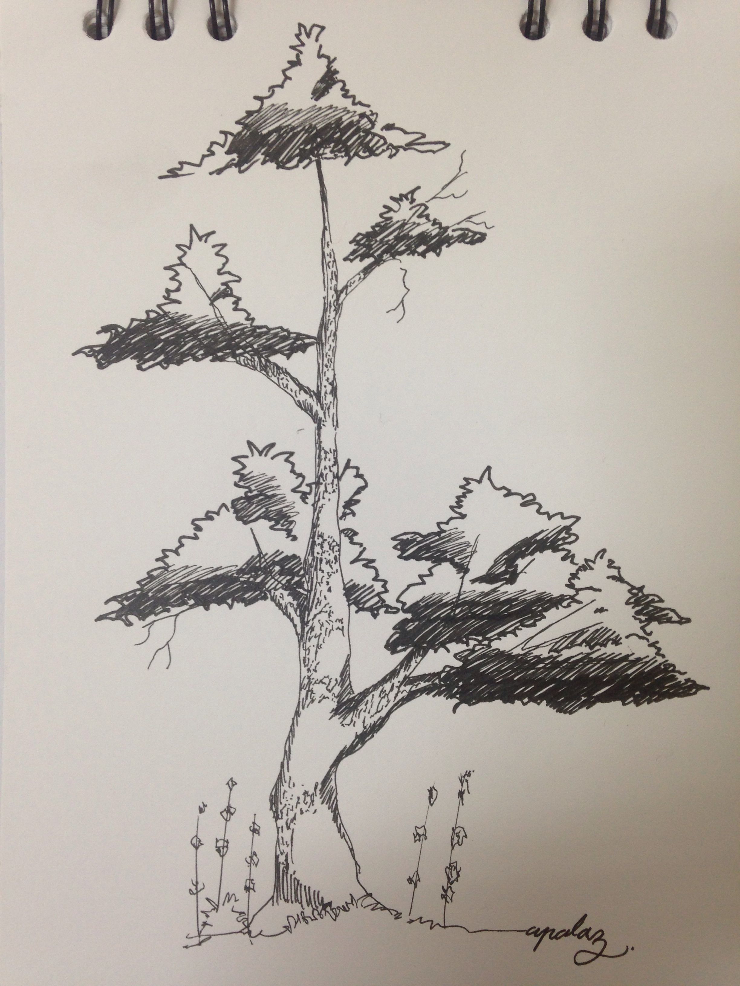 Detail Sketsa Batang Pohon Nomer 19