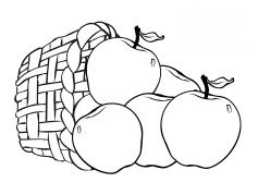 Detail Sketsa Buah Buahan Dalam Keranjang Nomer 13