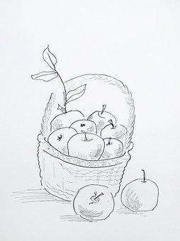 Detail Sketsa Buah Buahan Dalam Keranjang Nomer 43