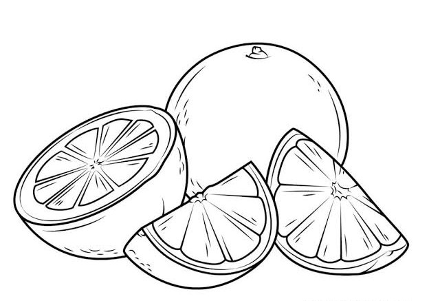 Detail Sketsa Buah Buahan Dalam Keranjang Nomer 47