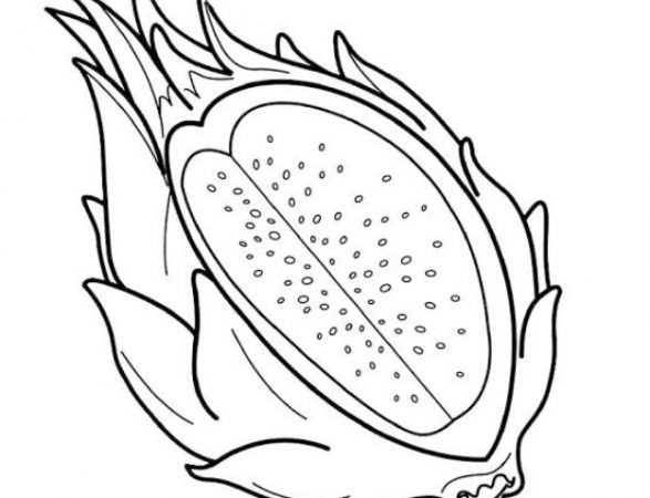 Detail Sketsa Buah Buahan Dalam Keranjang Nomer 50