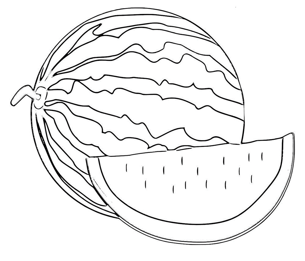 Detail Sketsa Buah Semangka Nomer 2