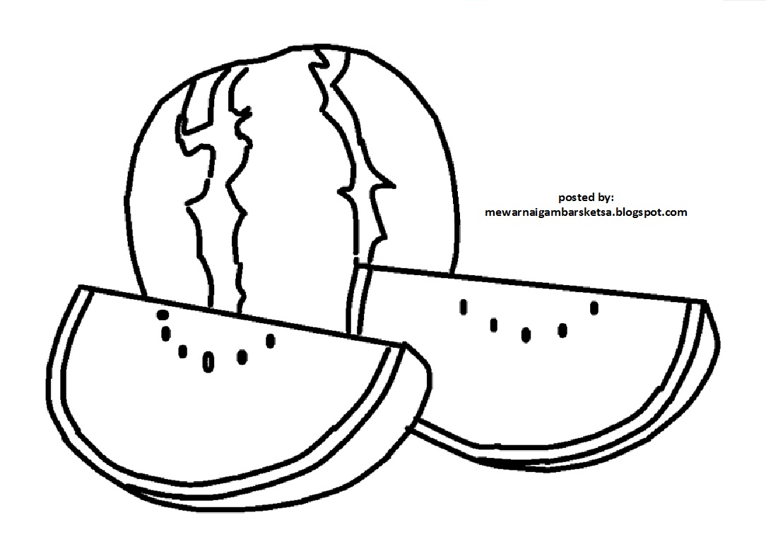 Detail Sketsa Buah Semangka Nomer 55
