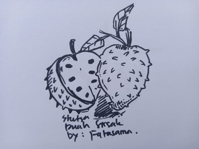 Detail Sketsa Buah Strawberry Nomer 36