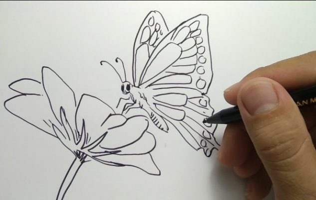 Detail Sketsa Bunga Dan Kupu Kupu Nomer 2