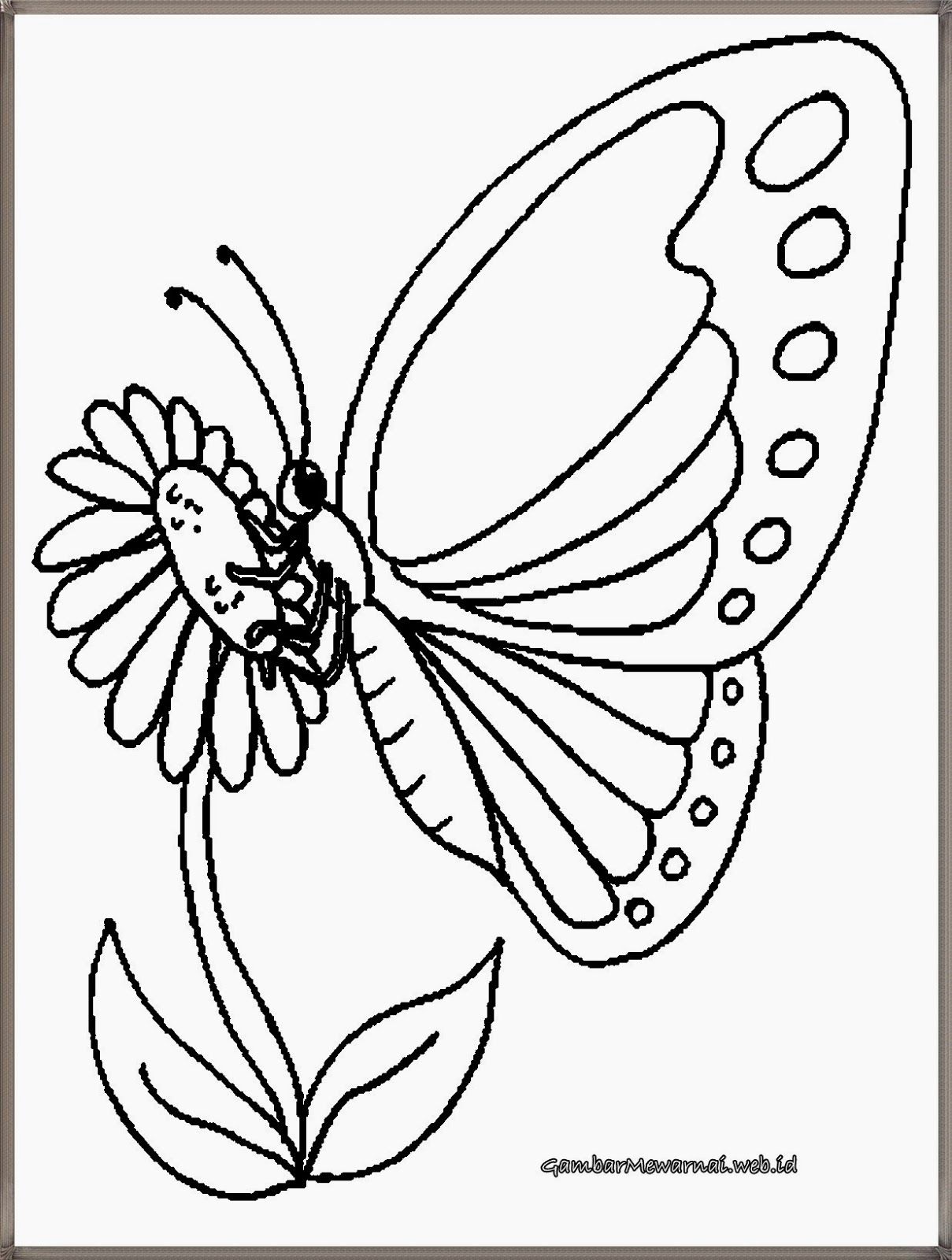 Detail Sketsa Bunga Dan Kupu Kupu Nomer 5