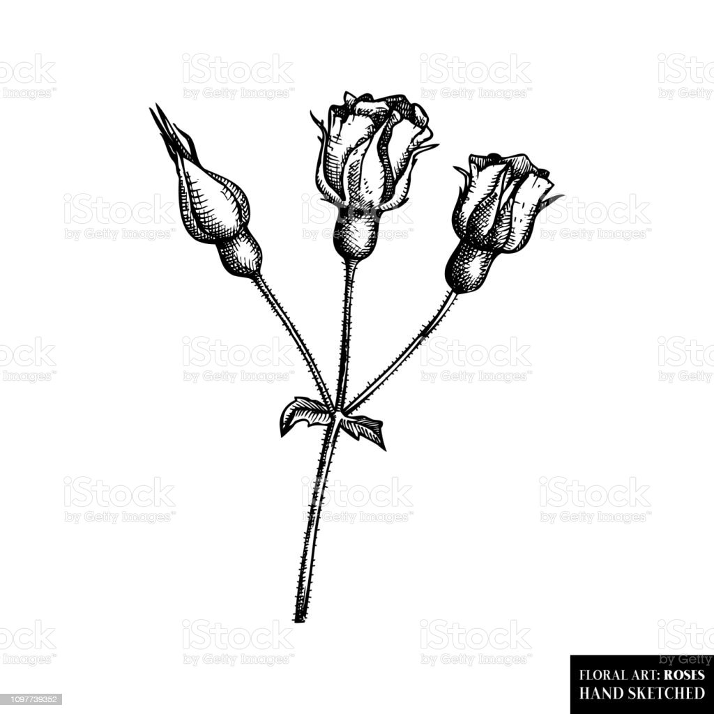 Detail Sketsa Bunga Gambar Tangan Nomer 2