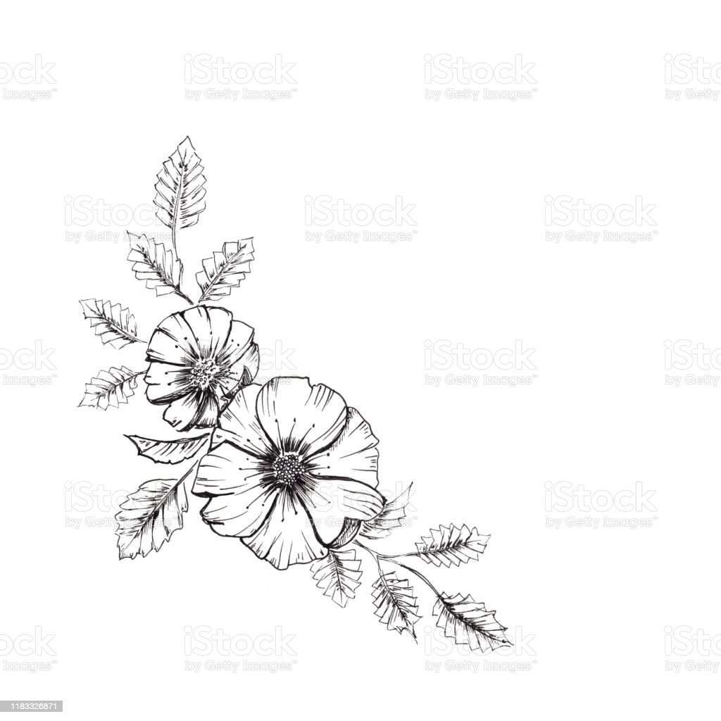 Detail Sketsa Bunga Gambar Tangan Nomer 17